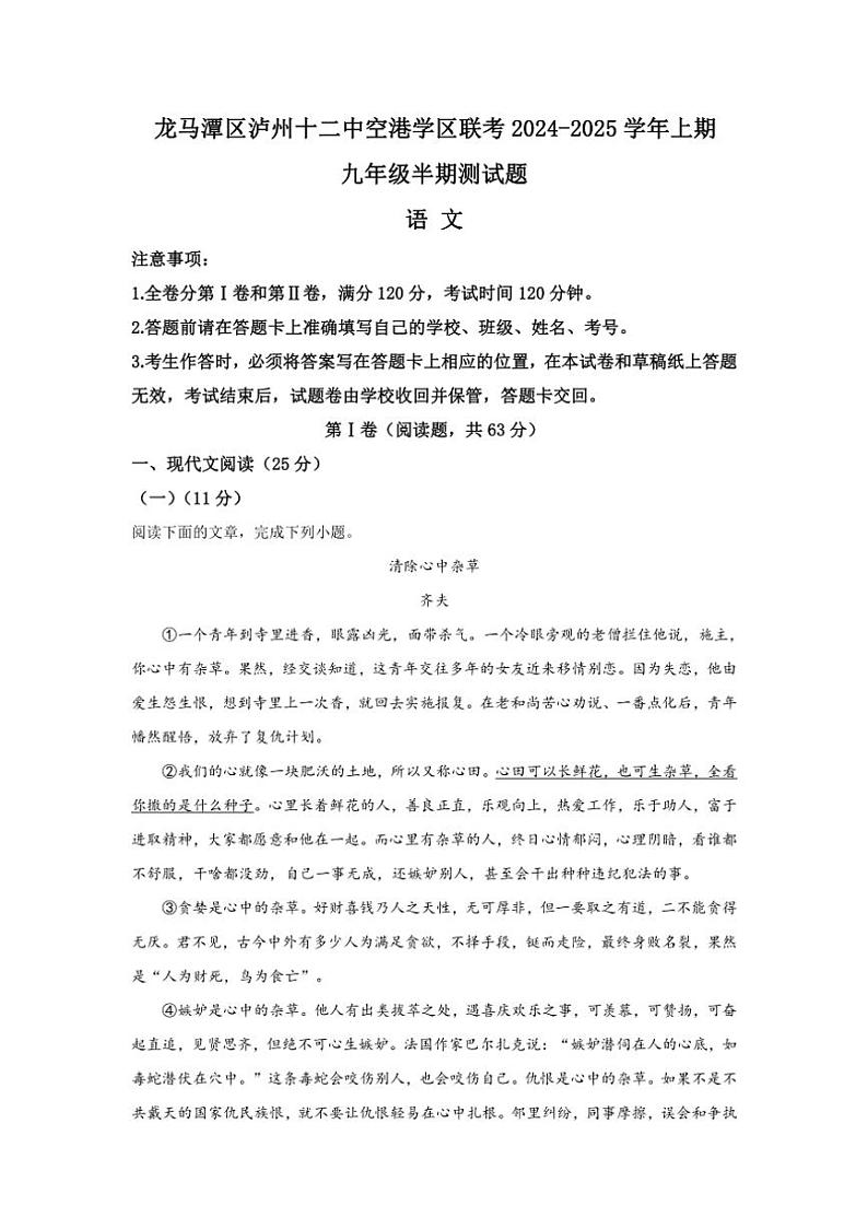 四川省泸州市龙马潭区泸州十二中空港学区2024～2025学年九年级上学期11月期中联考语文试题（含答案）第1页