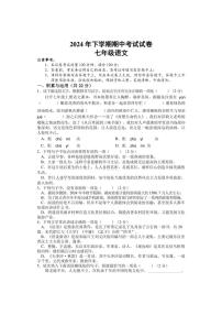 湖南省邵阳市武冈市2024～2025学年七年级上学期期中考试语文试题（含答案）