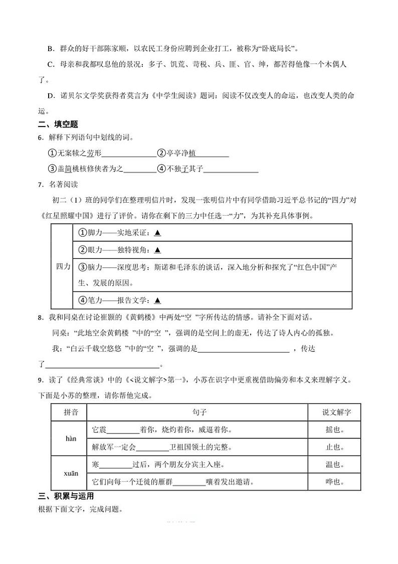 统编版语文（2024）八年级上册期中复习训练卷（含答案）第2页