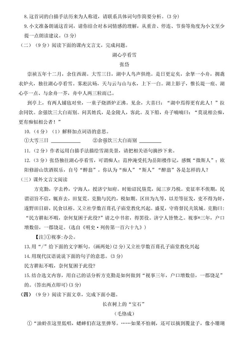 山东省德州市宁津县大庄中学2024～2025学年九年级上学期期中检测语文试题（含答案）03