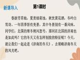 2024秋统编版语文七年级上册 2 济南的冬天课件