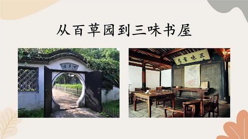 2024秋统编版语文七年级上册 9 从百草园到三味书屋课件第7页