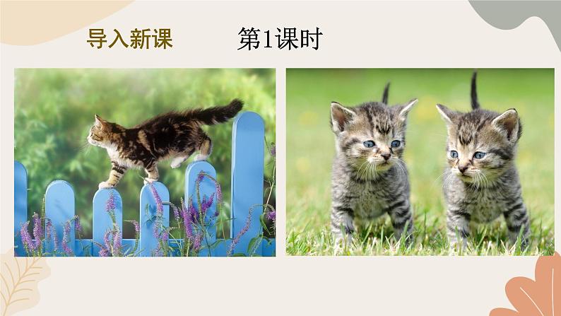 2024秋统编版语文七年级上册 17 猫课件第2页