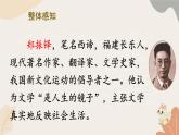 2024秋统编版语文七年级上册 17 猫课件