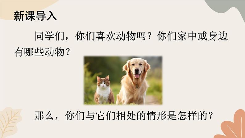 2024秋统编版语文七年级上册 任务三 记叙与动物的相处课件第2页