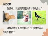 2024秋統(tǒng)編版語(yǔ)文七年級(jí)上冊(cè) 任務(wù)三 記敘與動(dòng)物的相處課件
