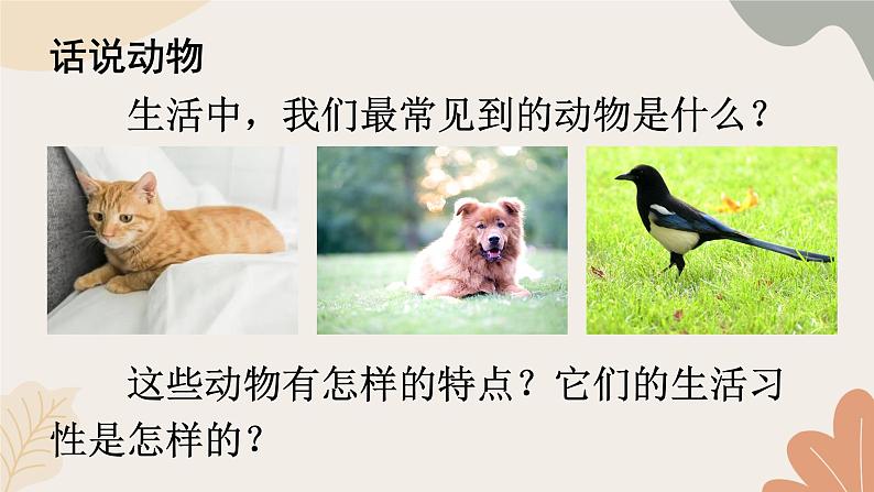 2024秋统编版语文七年级上册 任务三 记叙与动物的相处课件第3页