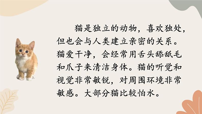 2024秋统编版语文七年级上册 任务三 记叙与动物的相处课件第4页