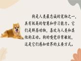 2024秋統(tǒng)編版語(yǔ)文七年級(jí)上冊(cè) 任務(wù)三 記敘與動(dòng)物的相處課件