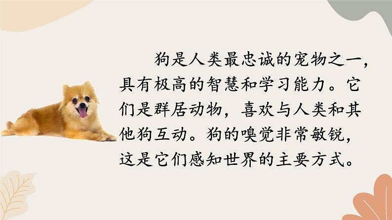 2024秋统编版语文七年级上册 任务三 记叙与动物的相处课件第5页