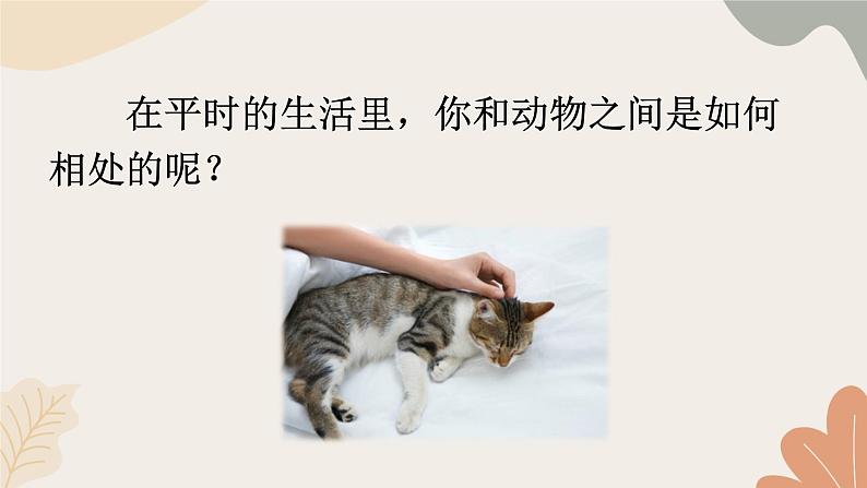 2024秋统编版语文七年级上册 任务三 记叙与动物的相处课件第7页