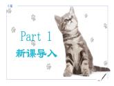 统编版语文七年级上册第17课《猫》教学课件
