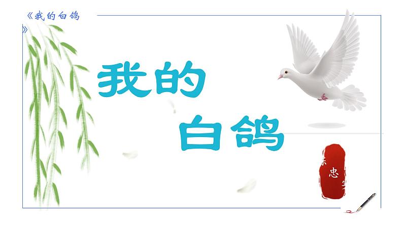 统编版语文七年级上册第18课《我的白鸽》教学课件01