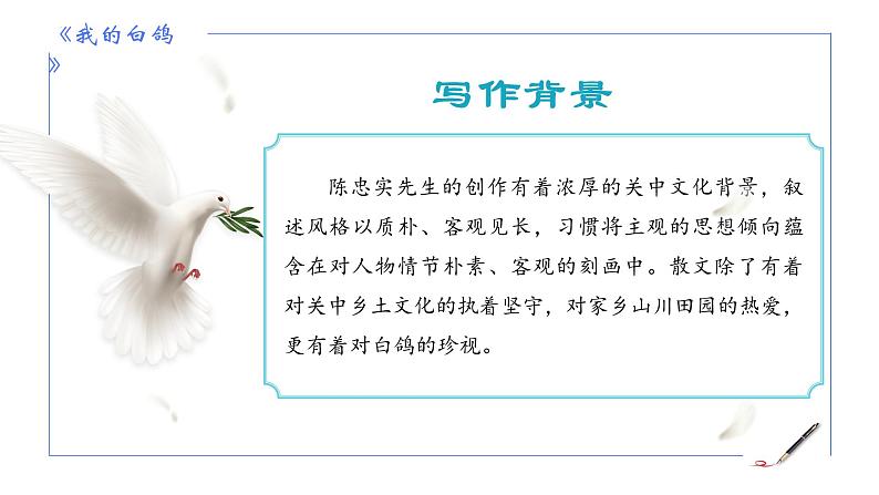 统编版语文七年级上册第18课《我的白鸽》教学课件07