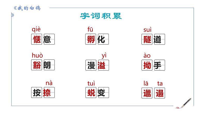 统编版语文七年级上册第18课《我的白鸽》教学课件08