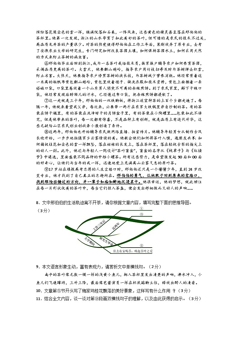 八年级阶段性练习试题卷202411第3页