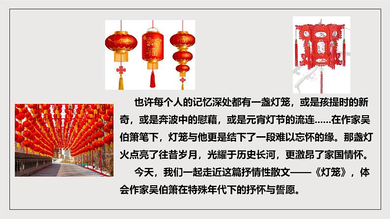人教部编版语文八年级下册4《灯笼》课件第3页
