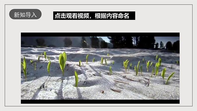 人教部编版语文八年级下册5《大自然的语言》课件+教案+导学案+分层练习+素材01