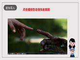 人教部编版语文八年级下册6《阿西莫夫短文两篇》《恐龙无处不有》课件+教案+导学案+分层练习+素材