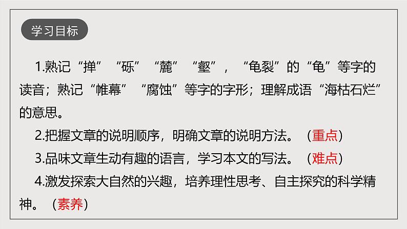 人教部编版语文八年级下册8 《时间的脚印》课件+教案+导学案+分层练习+素材04