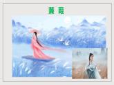 人教部编版语文八年级下册12 《诗经二首》《蒹葭》课件+教案+导学案+分层练习+素材
