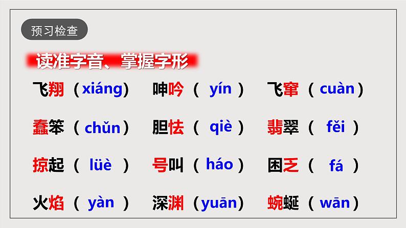 人教部编版语文九年级下册4《海燕》课件+导学案+素材07