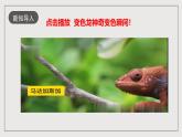 人教部编版语文九年级下册6《变色龙》课件+导学案+素材