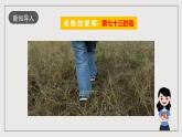 人教部编版语文九年级下册19《枣儿》课件+导学案+素材