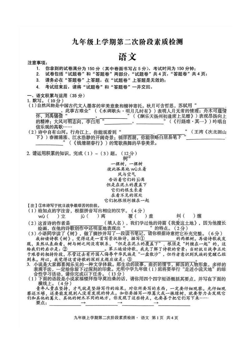 安徽省淮北市第一中学2024～2025学年九年级上学期11月期中语文试题（含答案）01