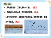 第19课《大雁归来》课件+2024—2025学年统编版语文七年级上册