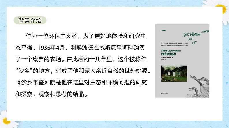 第19课《大雁归来》课件+2024—2025学年统编版语文七年级上册第6页