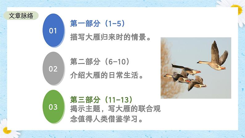 第19课《大雁归来》课件+2024—2025学年统编版语文七年级上册第8页