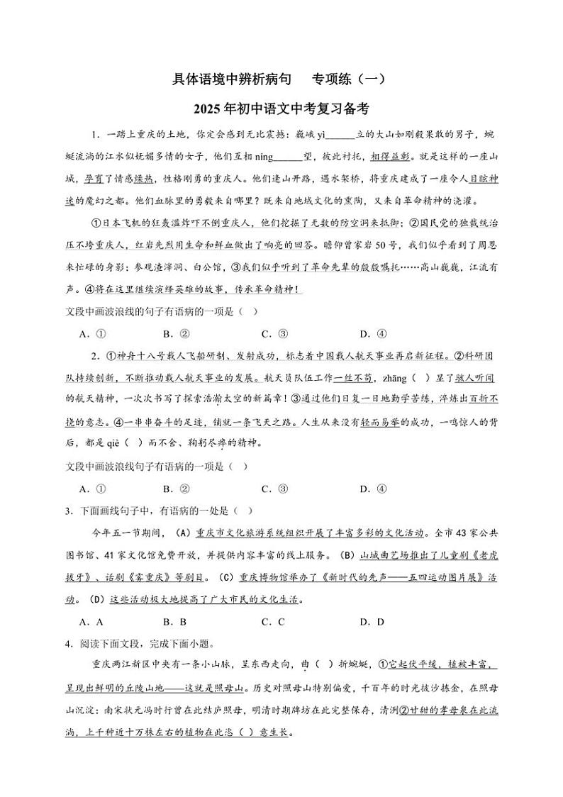 2025年语文中考复习备考专项练 辨析病句（二）第1页