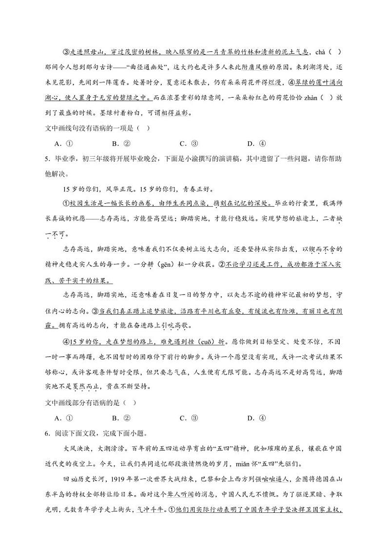 2025年语文中考复习备考专项练 辨析病句（二）第2页
