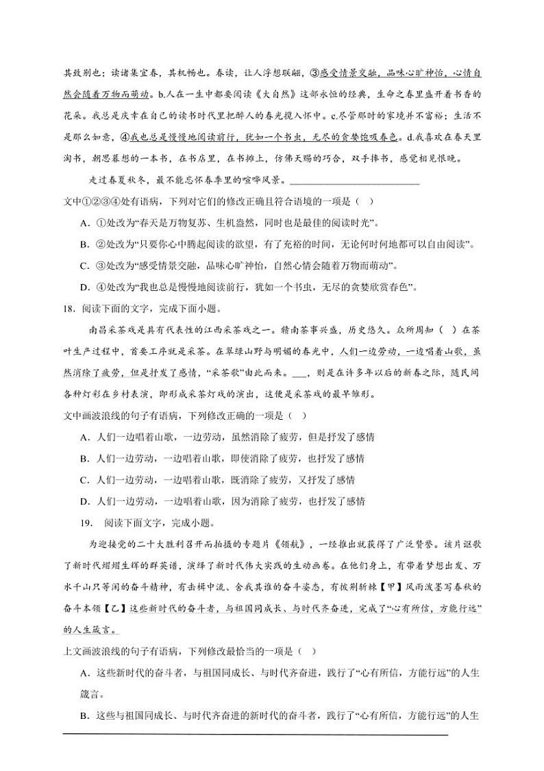 2025年语文中考复习备考专项练 辨析病句（一）第2页