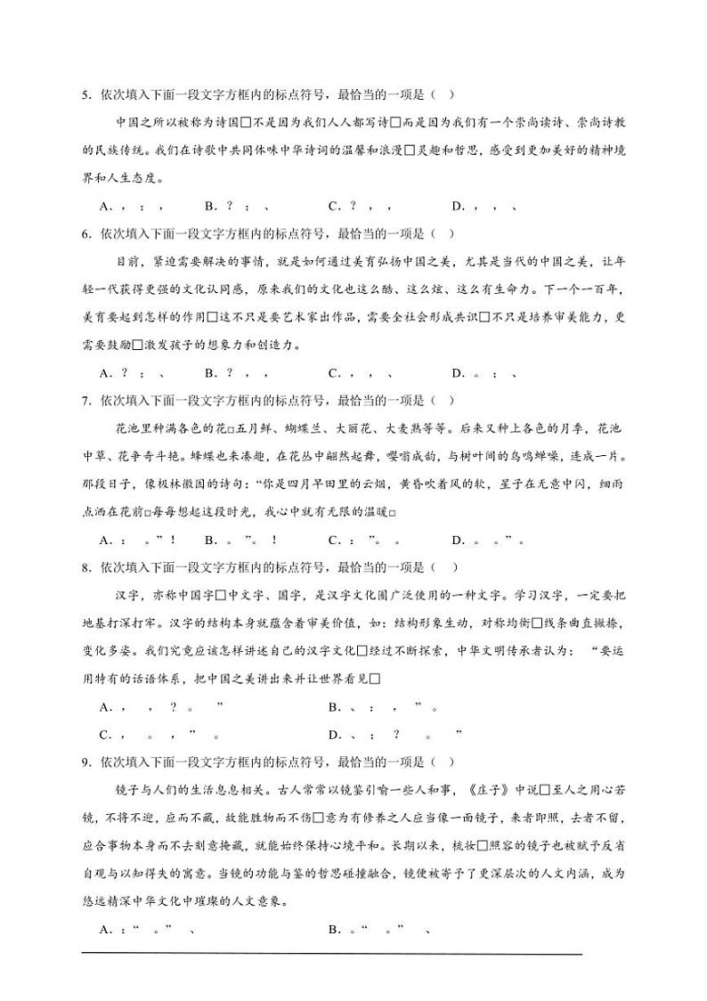2025年语文中考复习备考专项练 标点符号辨析（三）第2页