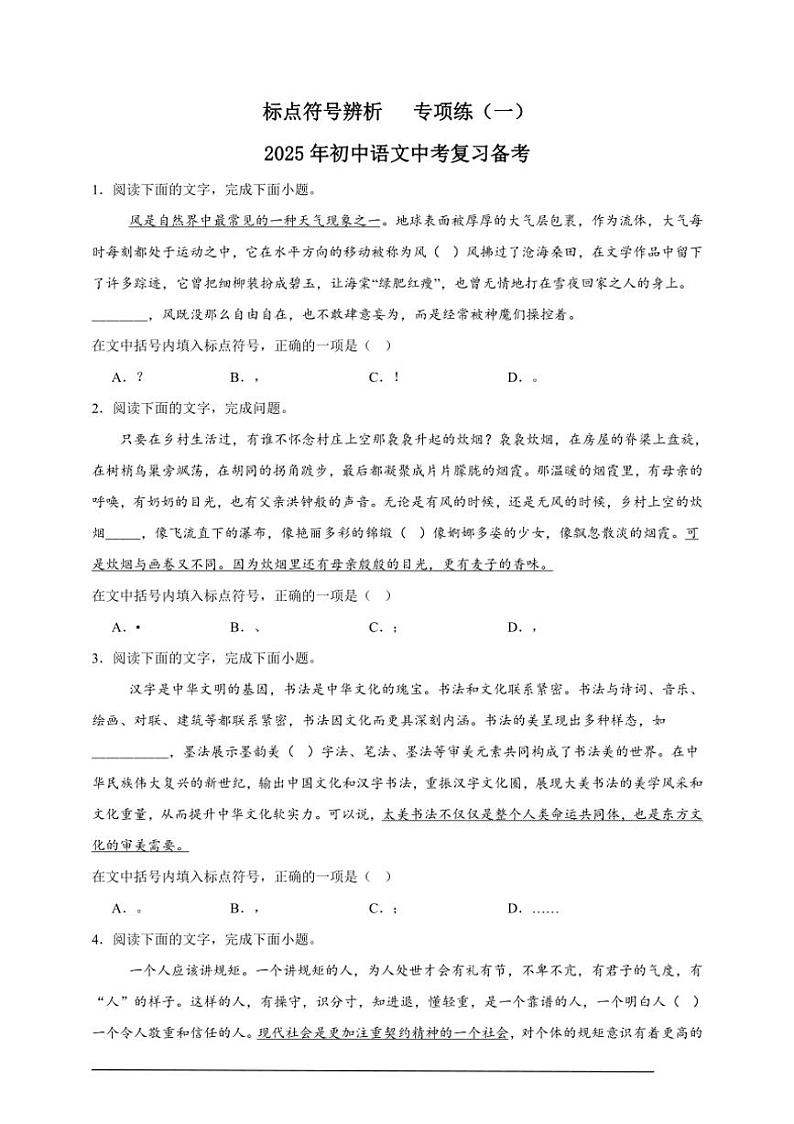 2025年语文中考复习备考专项练 标点符号辨析（二）第1页
