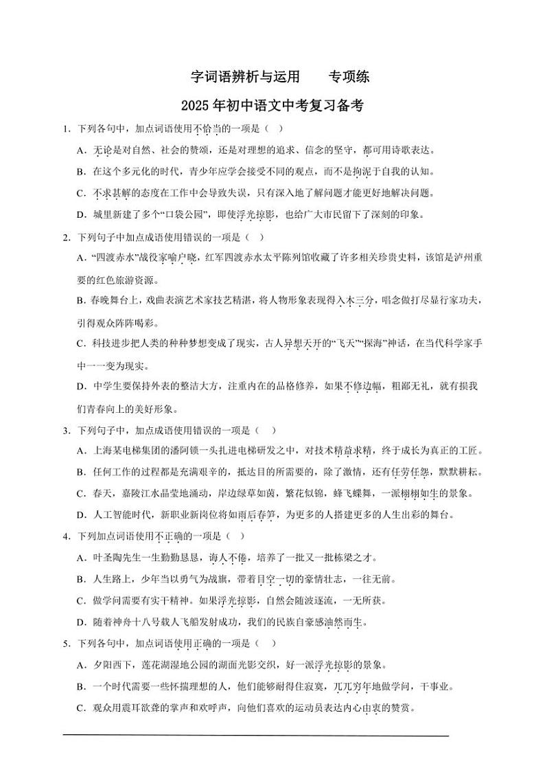 2025年语文中考复习备考专项练 字词语辨析与运用第1页