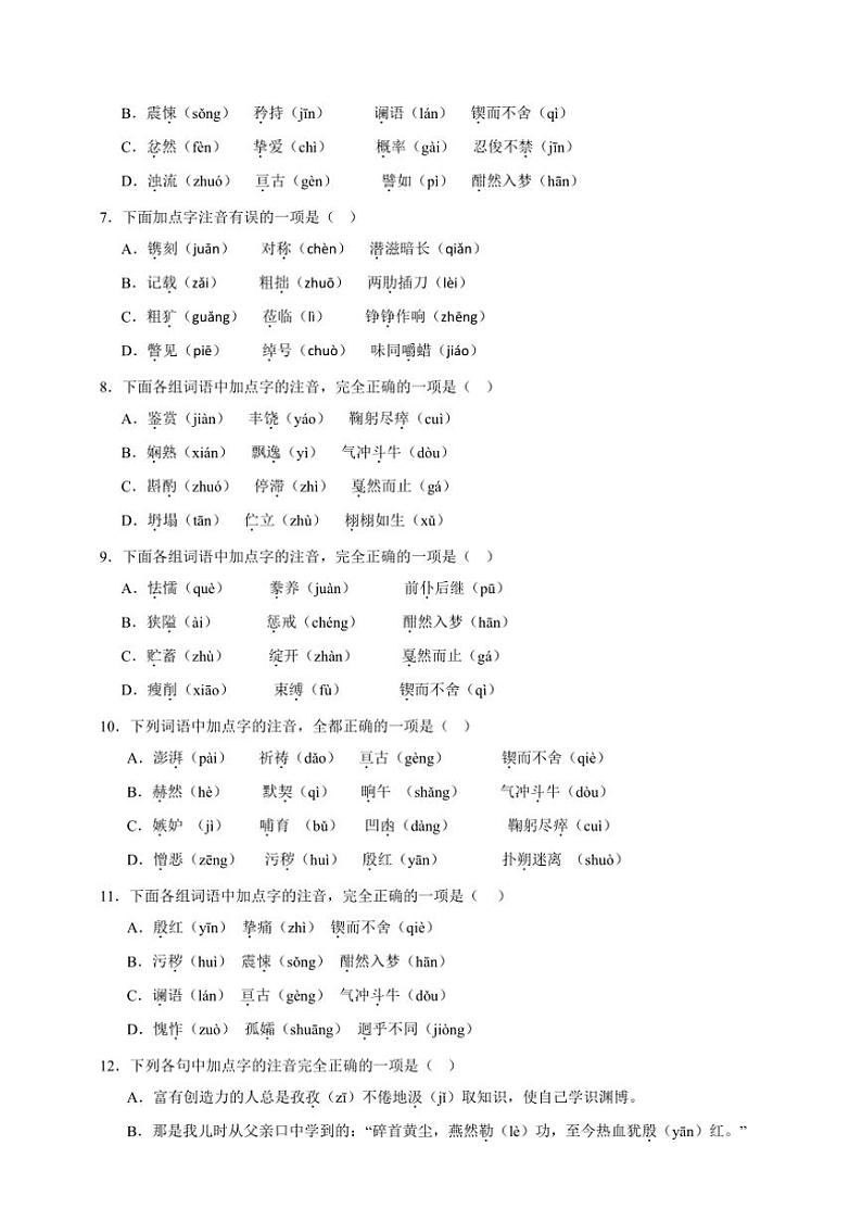 2025年语文中考复习备考专项练 易错字音辨析第2页