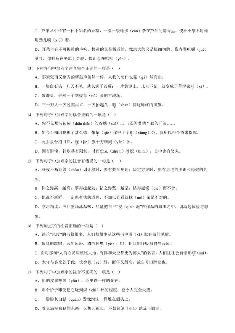 2025年语文中考复习备考专项练 易错字音辨析第3页