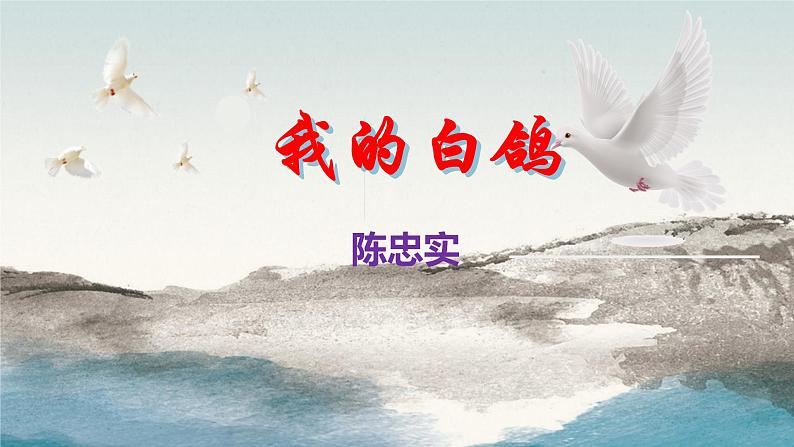 18《我的白鸽》同步课件-2024-2025学年上学期七年级语文统编版202401