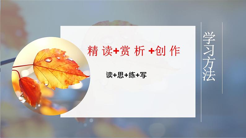 专题01 《秋夜》鲁迅（象征的手法和作用）课件-小初语文阅读写作能力提升系列课程课件第4页