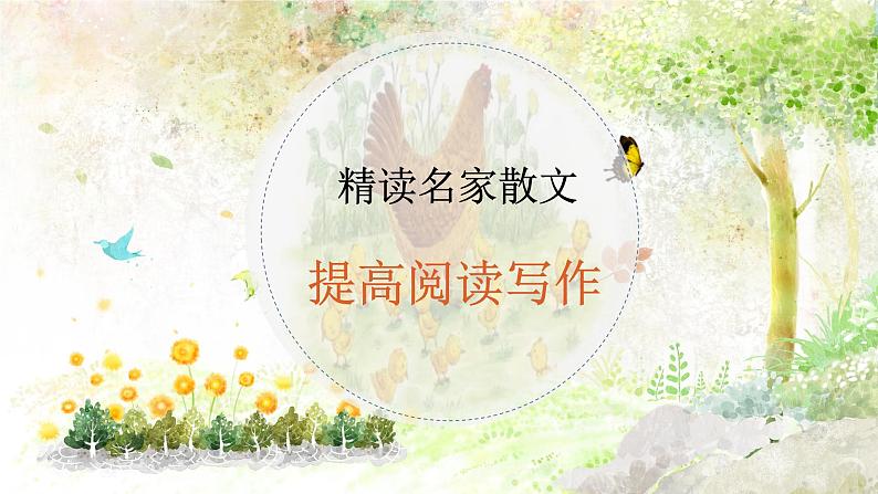 专题05 《母鸡》老舍（欲扬先抑的手法，过渡句的作用）课件 -小初语文阅读写作能力提升系列课程课件第1页
