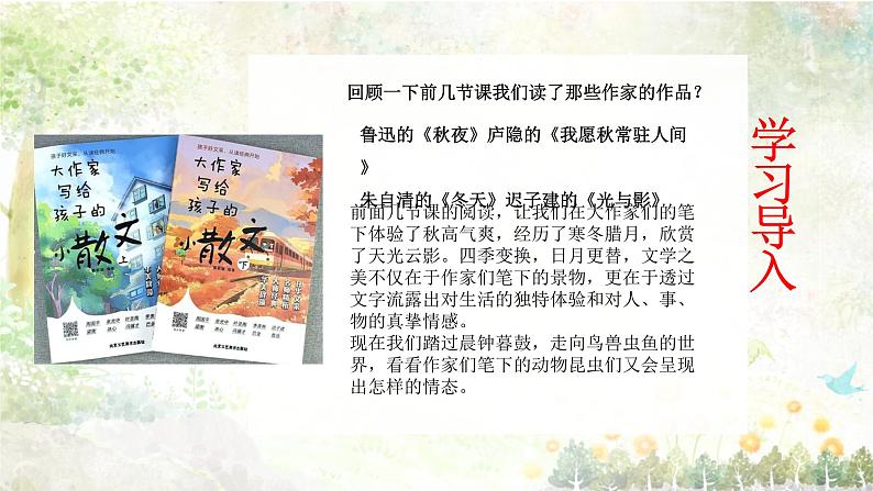 专题05 《母鸡》老舍（欲扬先抑的手法，过渡句的作用）课件 -小初语文阅读写作能力提升系列课程课件第3页