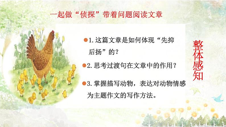 专题05 《母鸡》老舍（欲扬先抑的手法，过渡句的作用）课件 -小初语文阅读写作能力提升系列课程课件第7页
