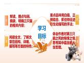 同步课件《猫》-2024-2025学年统编版语文七年级上册（人教版2024）