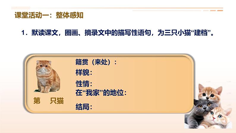 同步课件《猫》-2024-2025学年统编版语文七年级上册（人教版2024）第8页