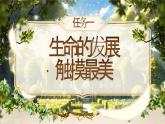 统编版初中语文七上第11课《再塑生命的人》课件