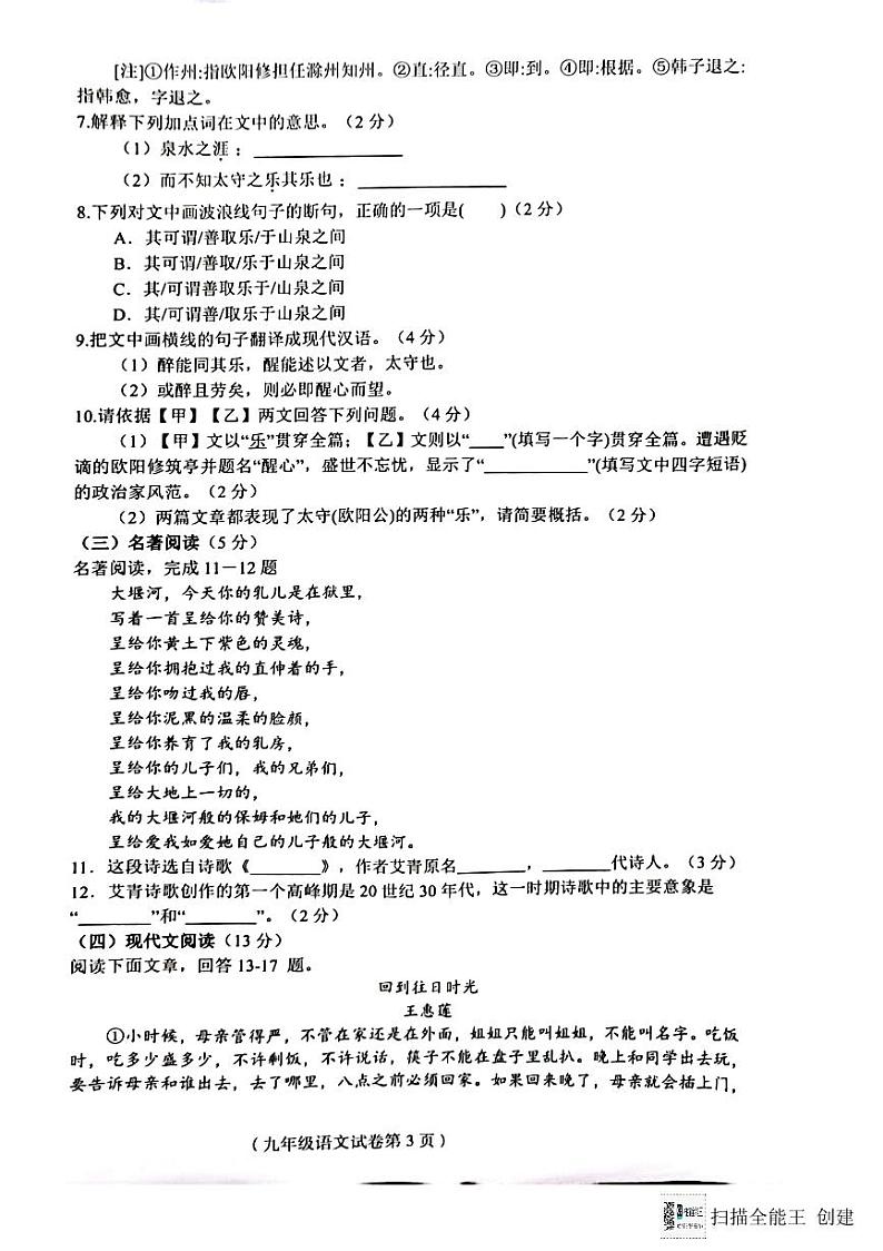 海南省省直辖县级行政单位临高县2024-2025学年九年级上学期11月期中语文试题第3页