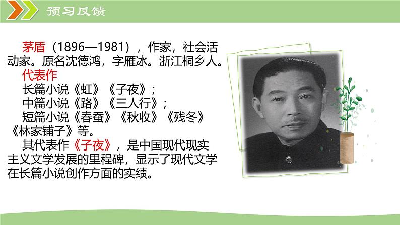 统编版语文八年级上册第15课《白杨礼赞》教学课件第3页